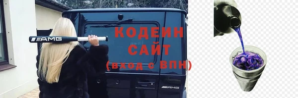 стаф Верея