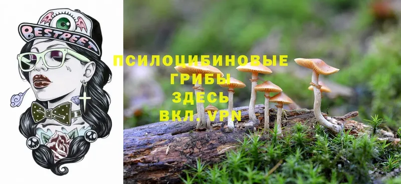 blacksprut сайт  Кодинск  Псилоцибиновые грибы ЛСД 